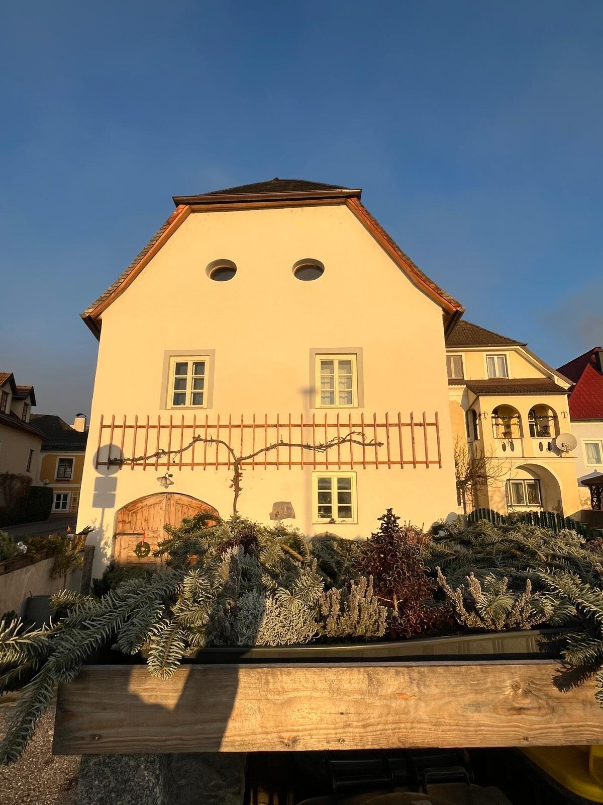 In einem Haus aus dem 15 Jahrhundert trifft Altes auf Modernes | © Das Donauhaus