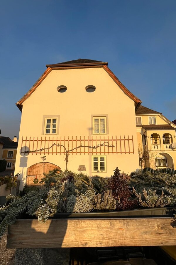 In einem Haus aus dem 15 Jahrhundert trifft Altes auf Modernes | © Das Donauhaus