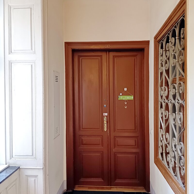 classical Viennese apartment door