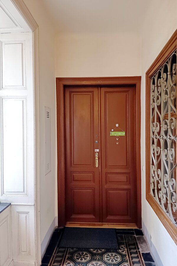classical Viennese apartment door