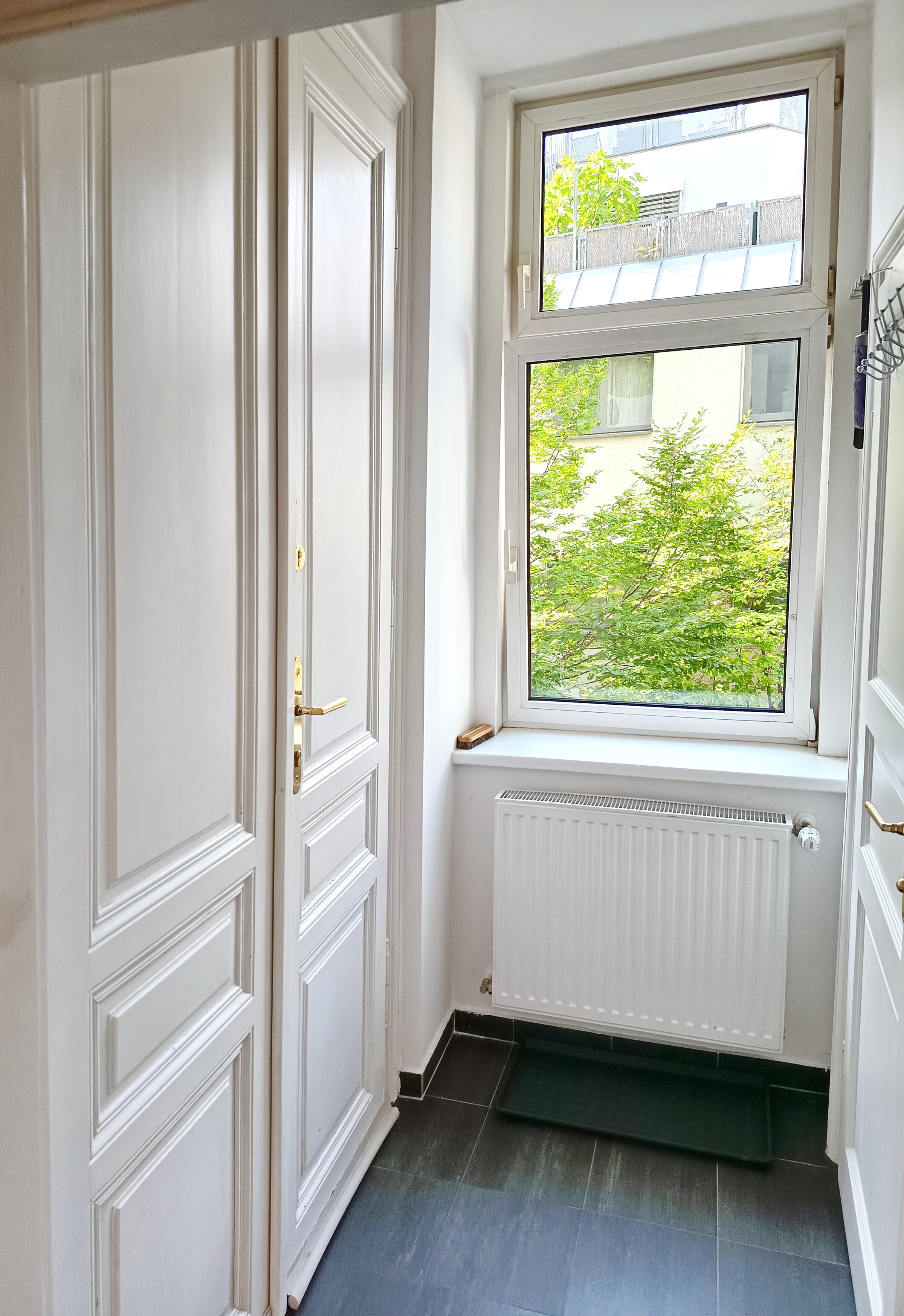 View to the backyard