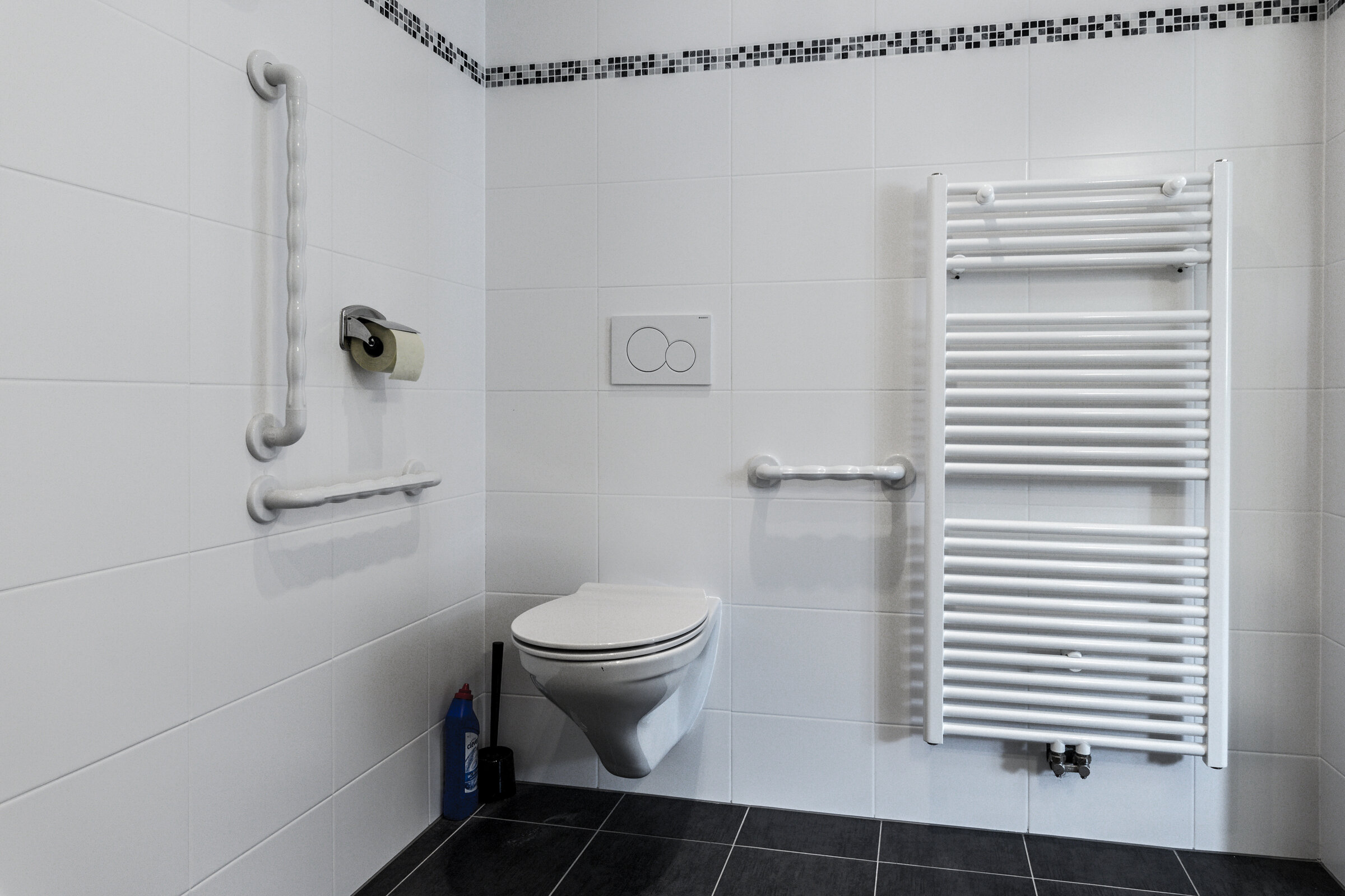 barrierefreies WC im Bad