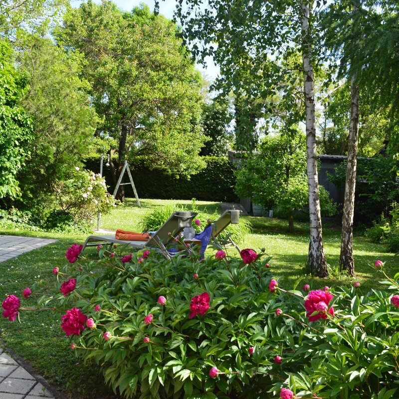 garden in direction carport