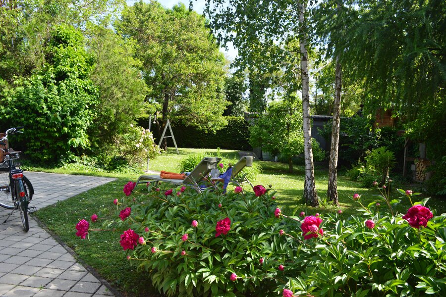 garden in direction carport
