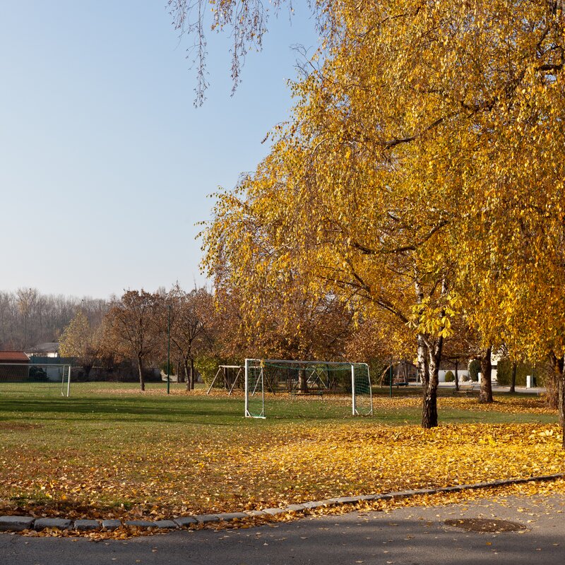 Rosschwemmwiese in direkter Nachbarschaft