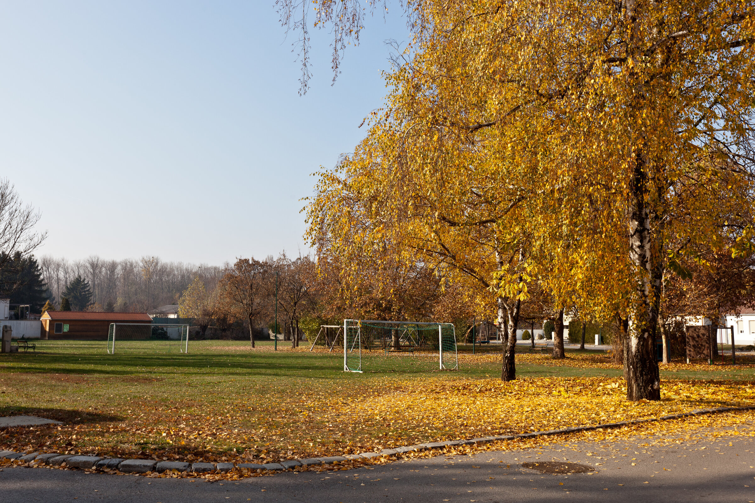 a park in direct neighborhood
