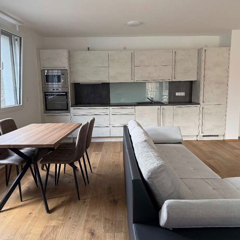 Open living & kitchen area, modern fit-out – 2-room apartment, short-term rental, temporary housing for 1 to 6 months, Vienna
