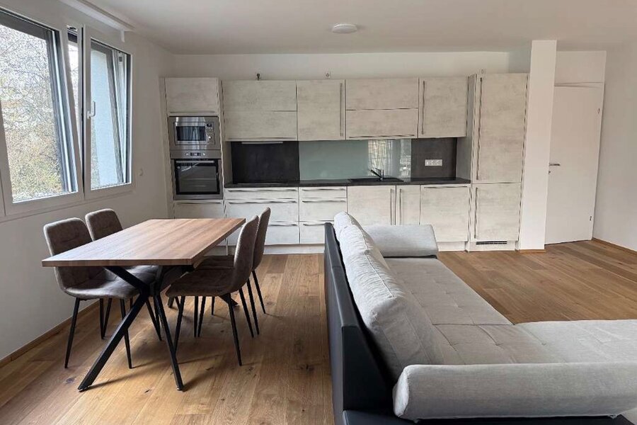 Open living & kitchen area, modern fit-out – 2-room apartment, short-term rental, temporary housing for 1 to 6 months, Vienna