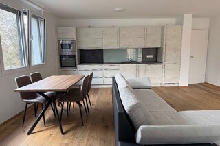 Open living & kitchen area, modern fit-out – 2-room apartment, short-term rental, temporary housing for 1 to 6 months, Vienna