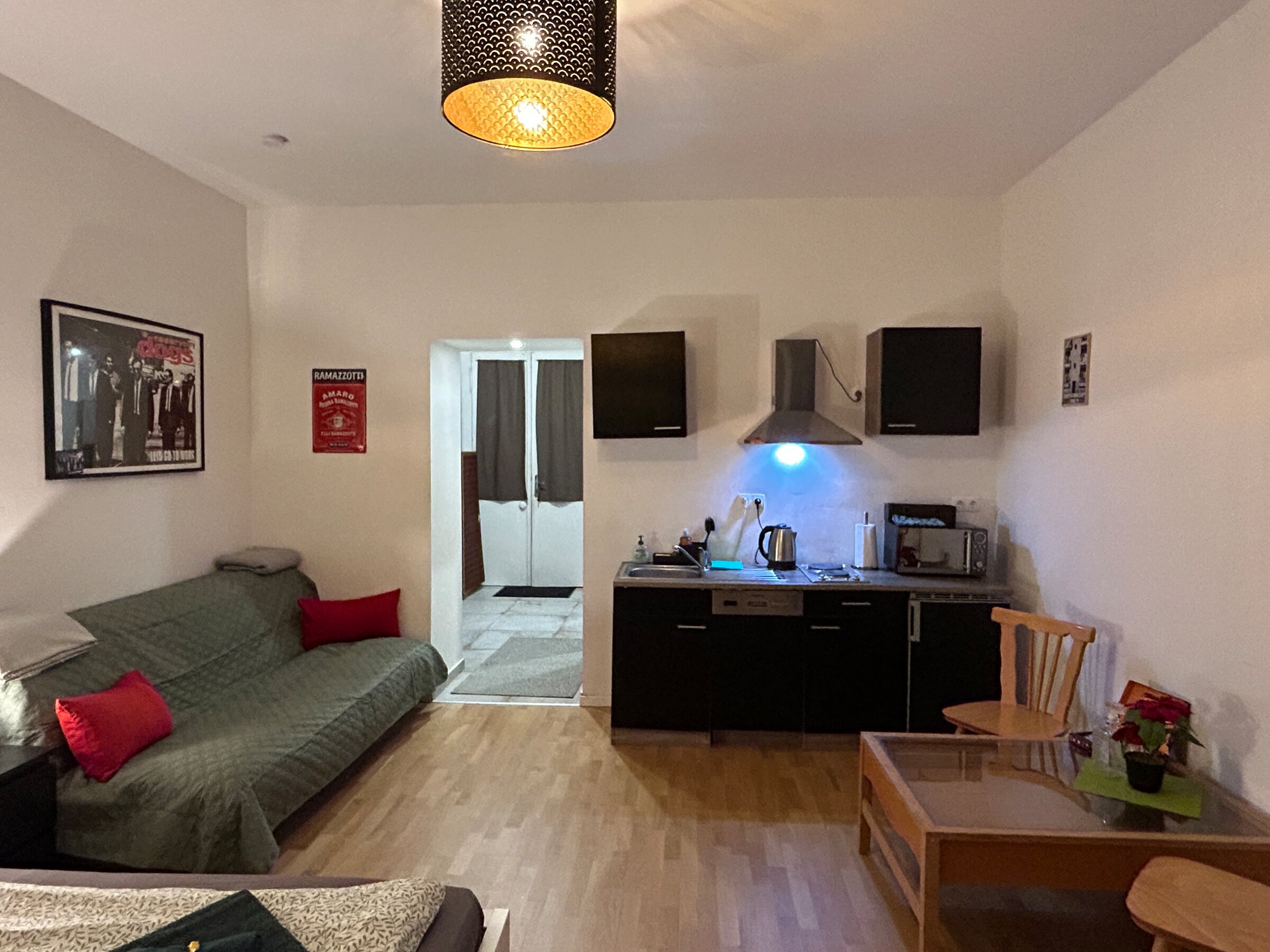 Main Room - facing kitchenette and entrance