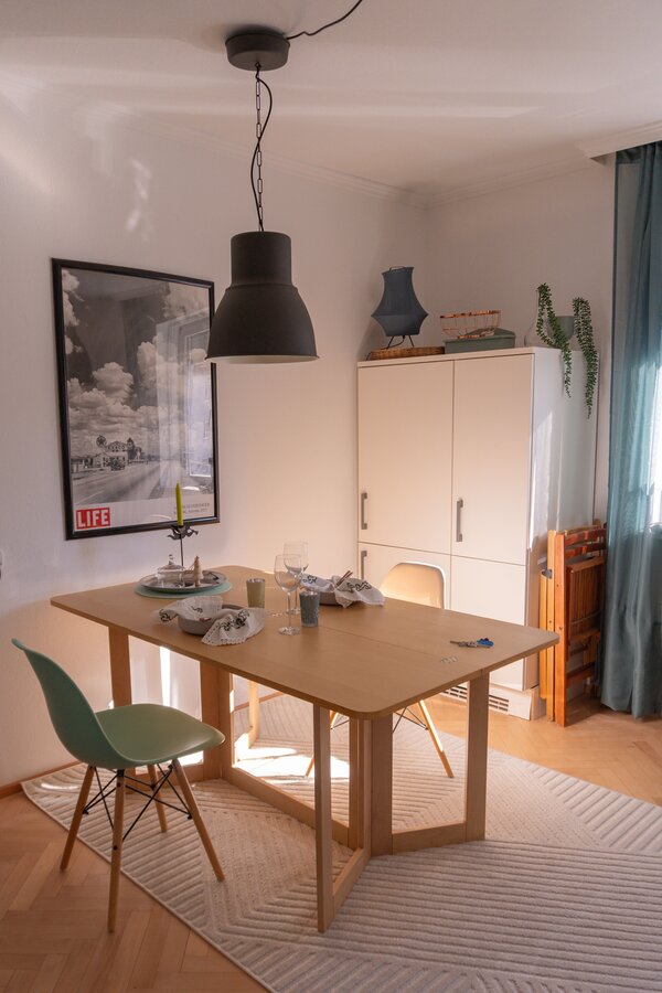 Refrigerator in the corner with utility cabinet (vacuum cleaner, ironing board, cleaning supplies)