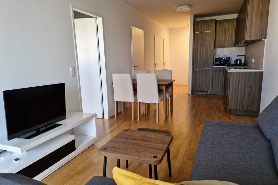 Bright living & kitchen area: 2-room apartment for short-term rental & temporary housing for 1 to 6 months in Vienna