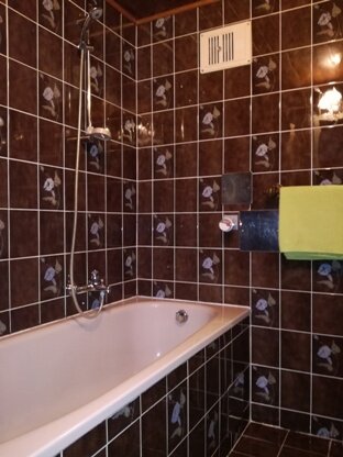 Badezimmer mit Wanne und Dusche