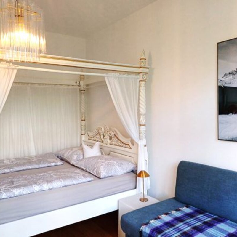 Canopy bed & sleeping couch