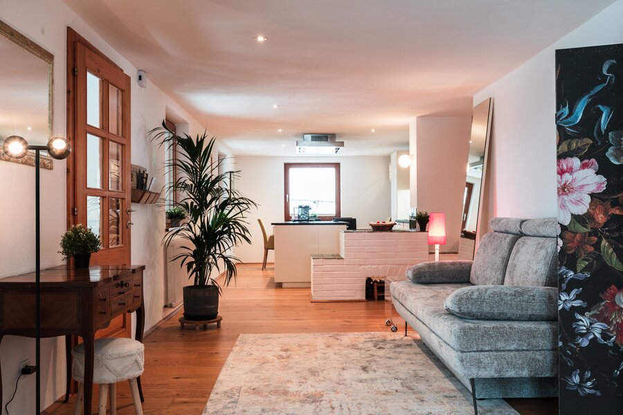 Sleeping Couch and Kitchen Area