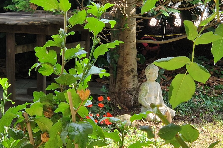 Garten