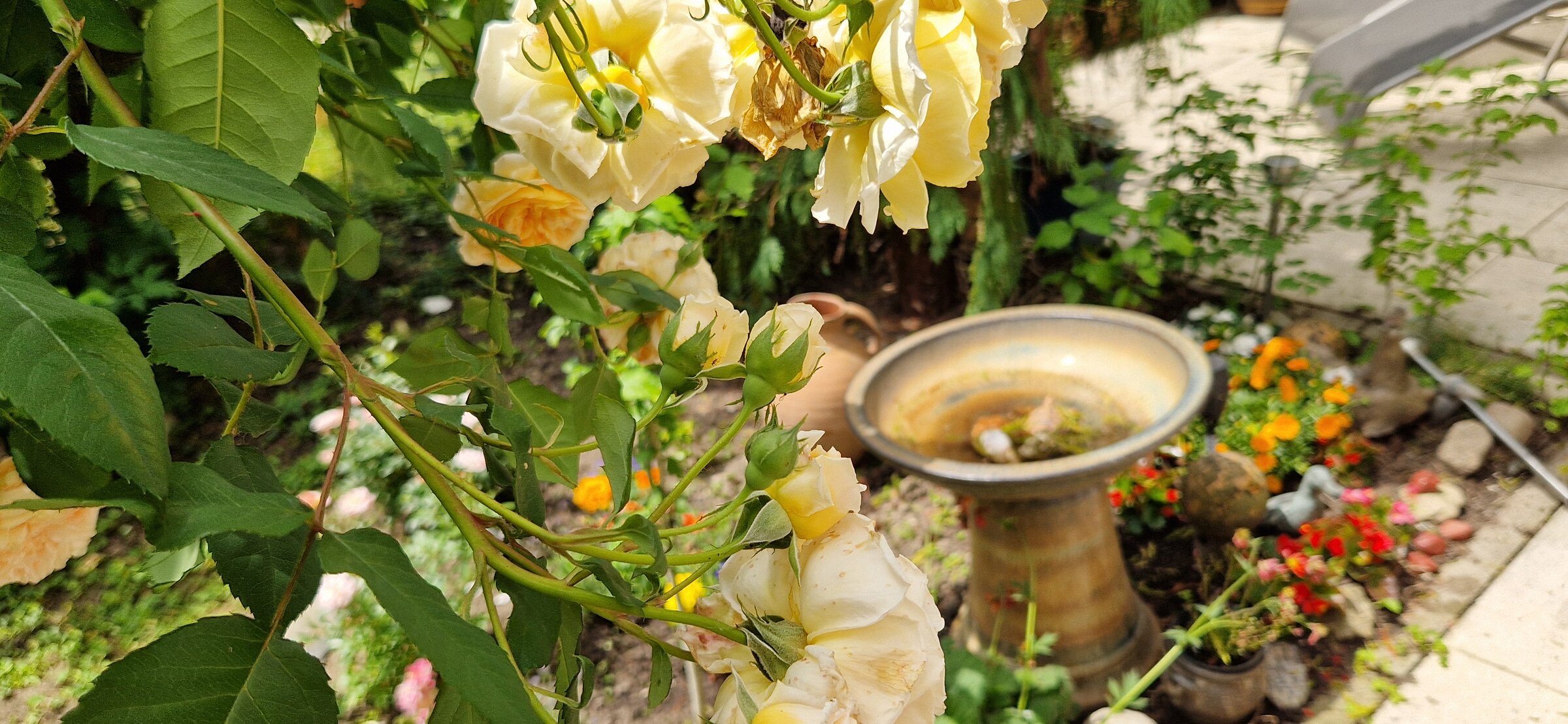 Garten