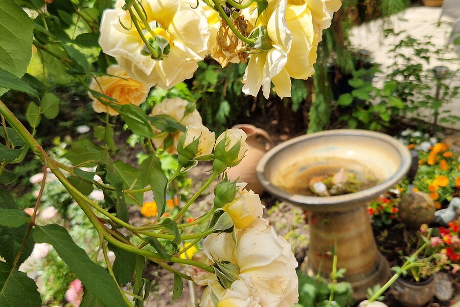Garten