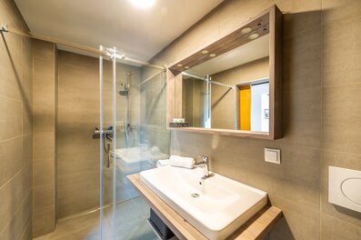 Bright bathroom with glass shower in 2-room apartment – short-term rental & temporary housing for 1 to 6 months in Übelbach