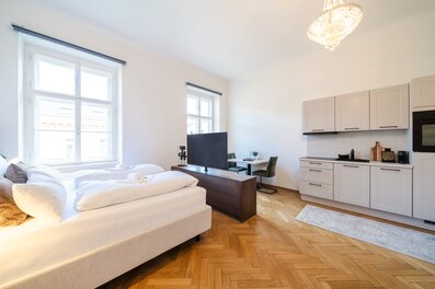 Möbliertes 1-Zimmer Apartment mit Küchenzeile & Parkettboden – Kurzzeitmiete & Wohnen auf Zeit für 1 bis 6 Monate in Graz