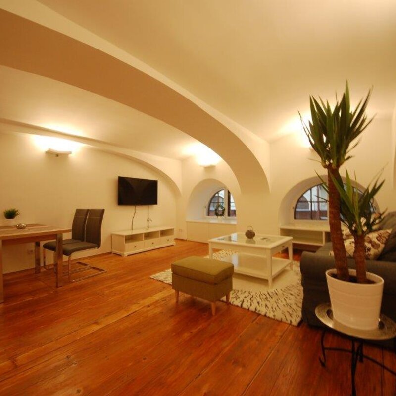 Bright vaulted living room: 2-room apt, short-term rental & temporary housing for 1 to 6 months in Vienna
