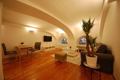 Bright vaulted living room: 2-room apt, short-term rental & temporary housing for 1 to 6 months in Vienna