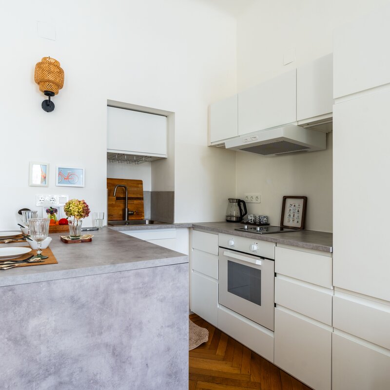 Hier sehen Sie die gut ausgestattete Küche mit kleinem Geschirrspüler, Abzugshaube, Backrohr - sehr gut ausgestattet mit Bartheke zum Kochen und gemütlichem Sitzen