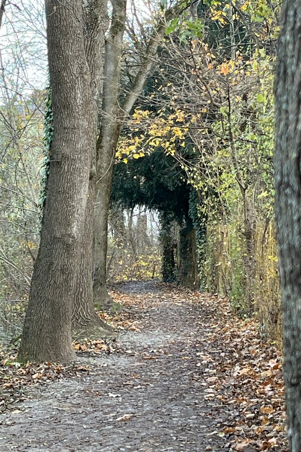 Rad- und Spazierweg am renaturierten Liesingbach | © Zsuzsanna M.-J.