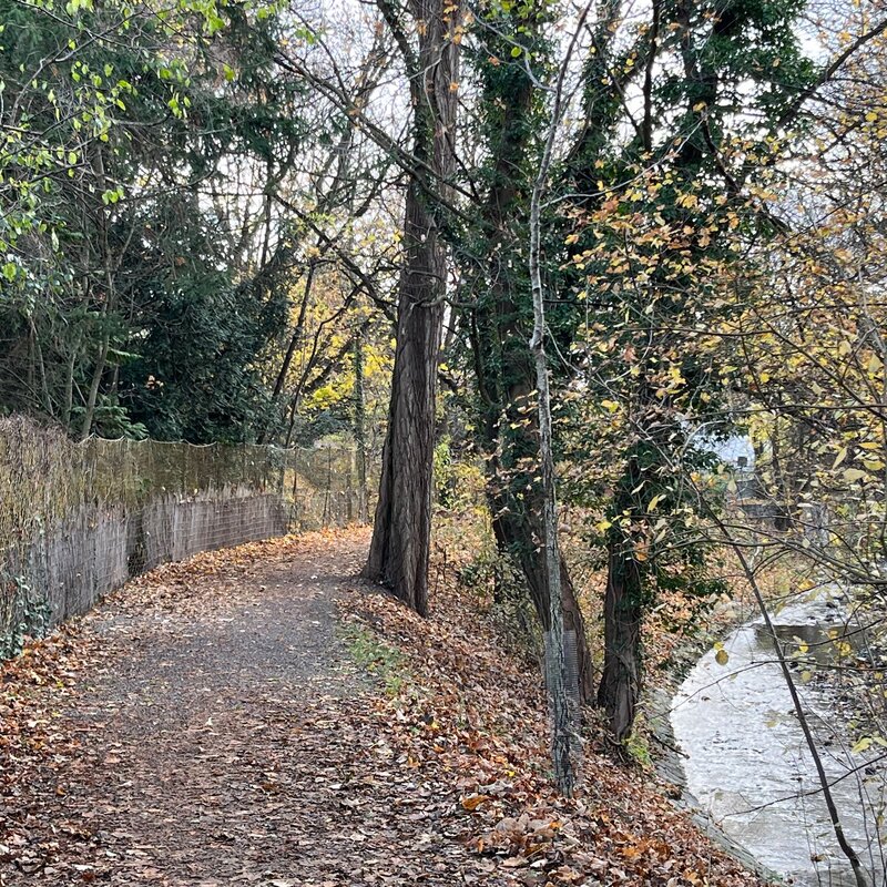 Rad- und Spazierweg am renaturierten Liesingbach | © Zsuzsanna M.-J.