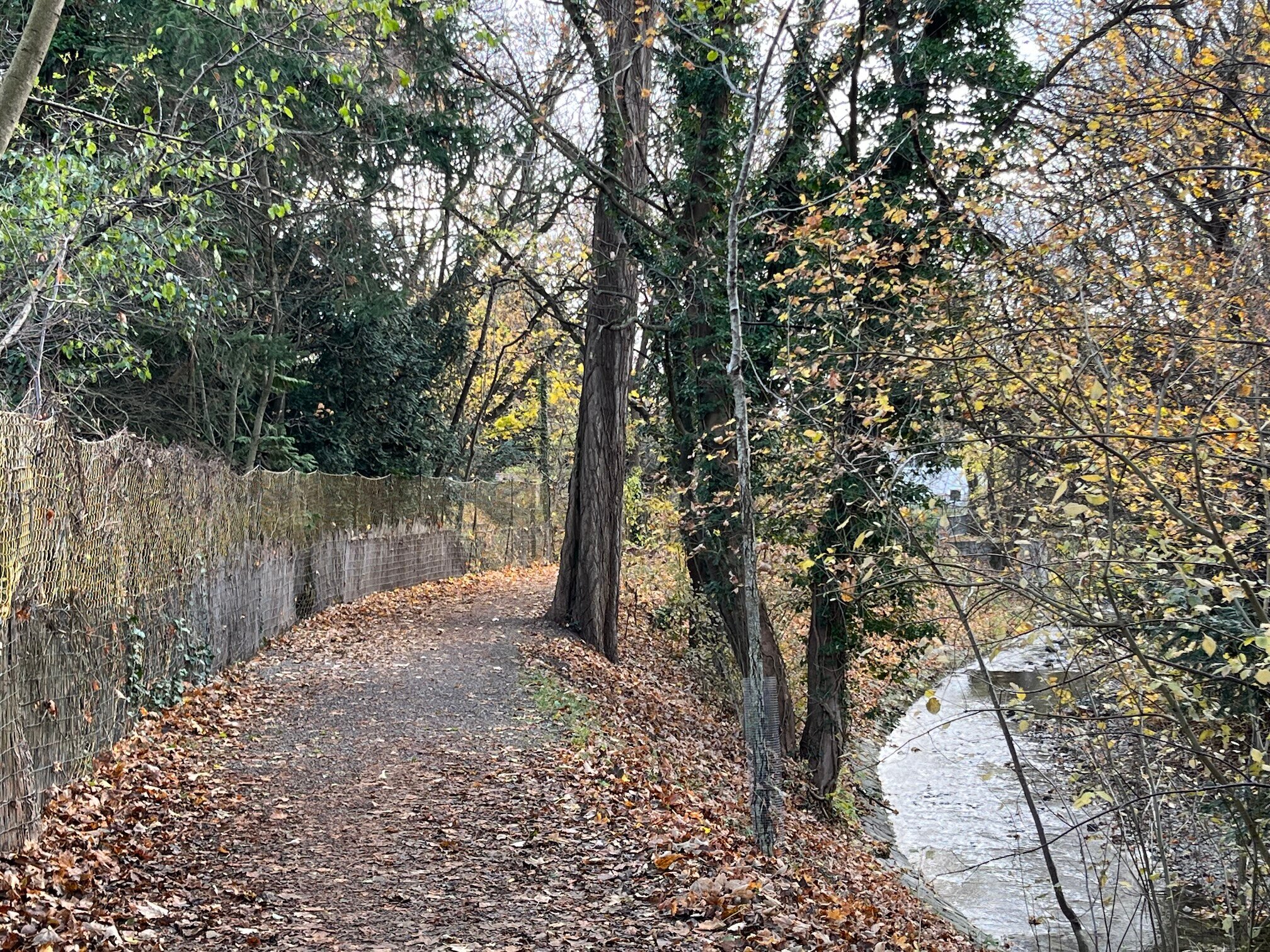 Rad- und Spazierweg am renaturierten Liesingbach | © Zsuzsanna M.-J.