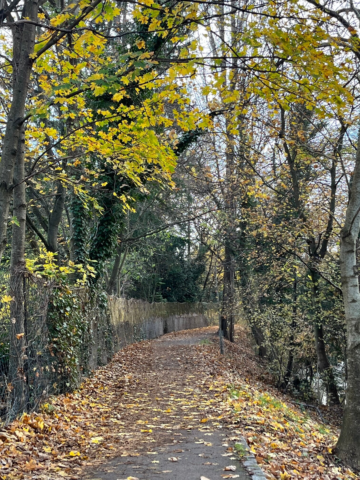 Rad- und Spazierweg am renaturierten Liesingbach | © Zsuzsanna M.-J.