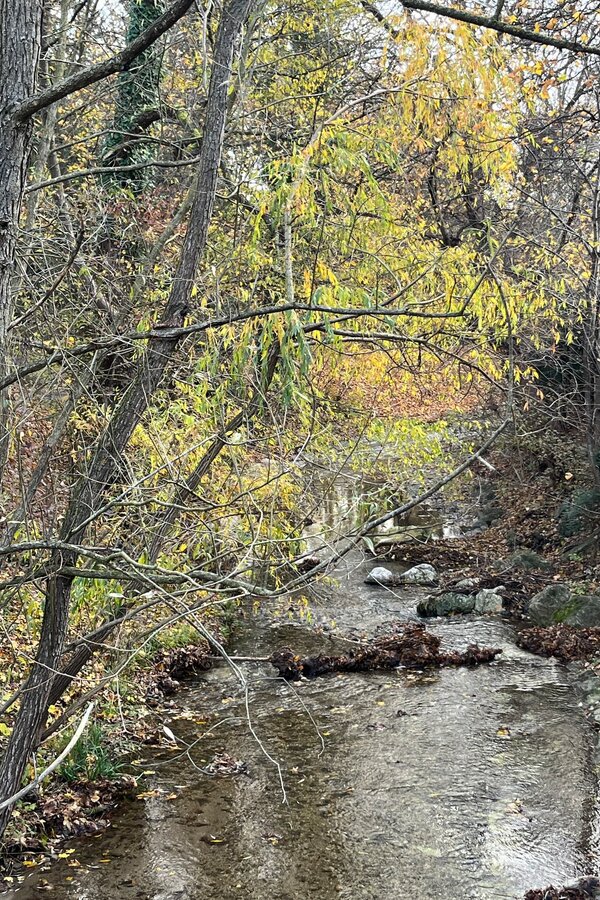 Liesingbach | © Zsuzsanna M.-J.