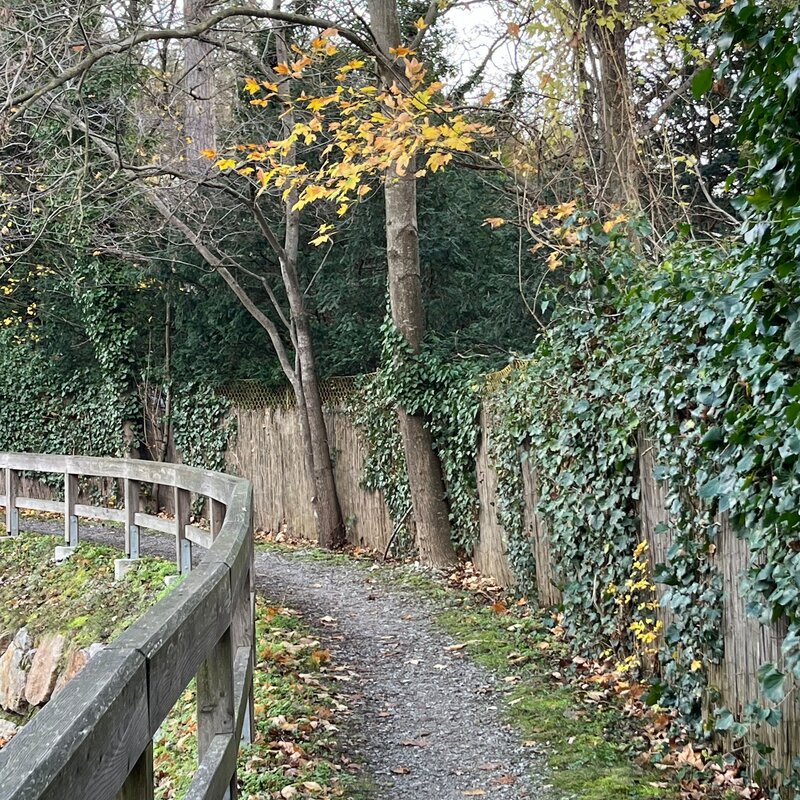 Rad- und Spazierweg am renaturierten Liesingbach | © Zsuzsanna M.-J.