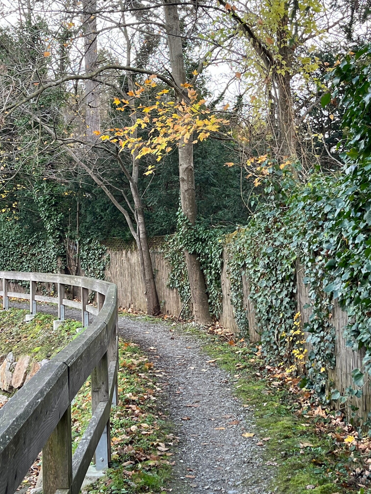 Rad- und Spazierweg am renaturierten Liesingbach | © Zsuzsanna M.-J.