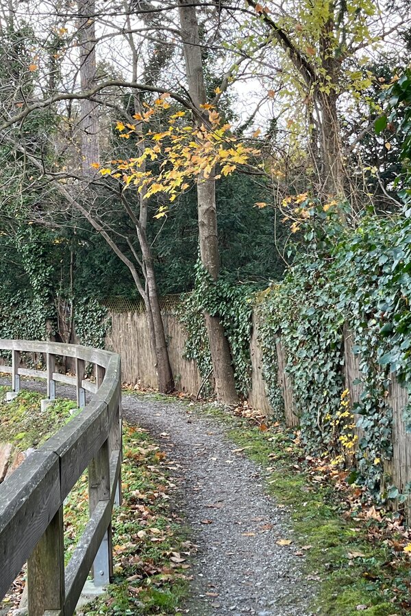 Rad- und Spazierweg am renaturierten Liesingbach | © Zsuzsanna M.-J.