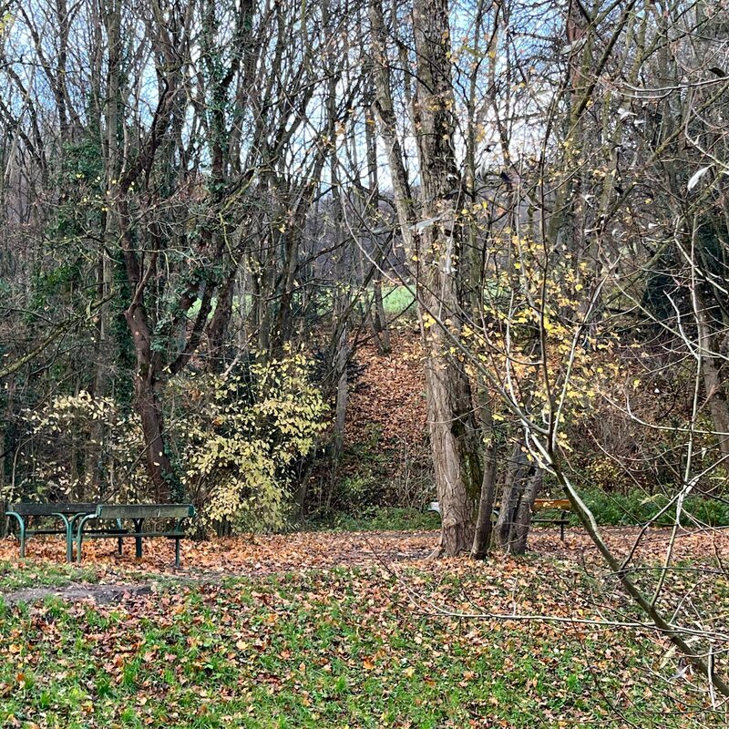 Rastplatz am Liesingbach | © Zsuzsanna M.-J.