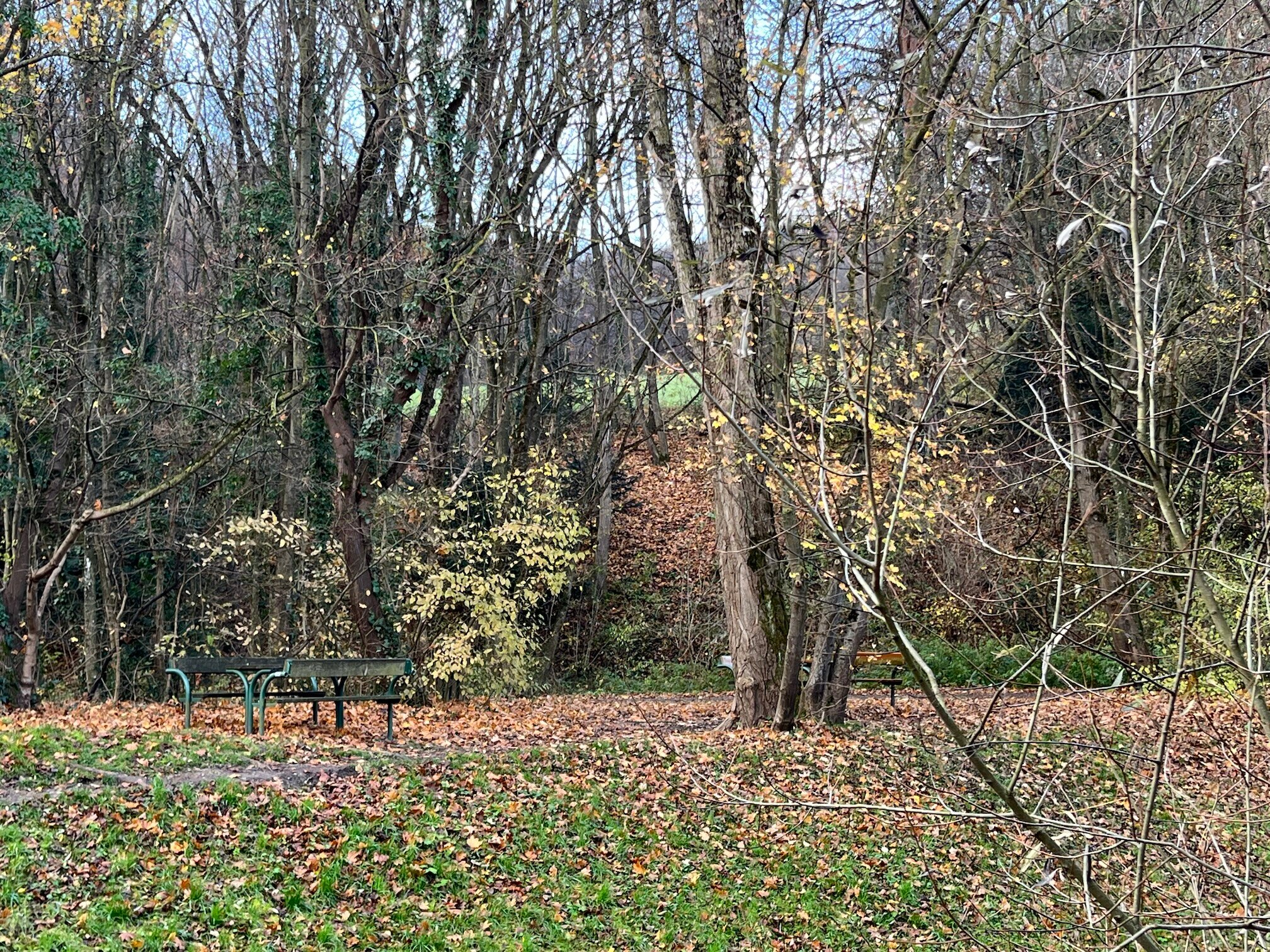 Rastplatz am Liesingbach | © Zsuzsanna M.-J.