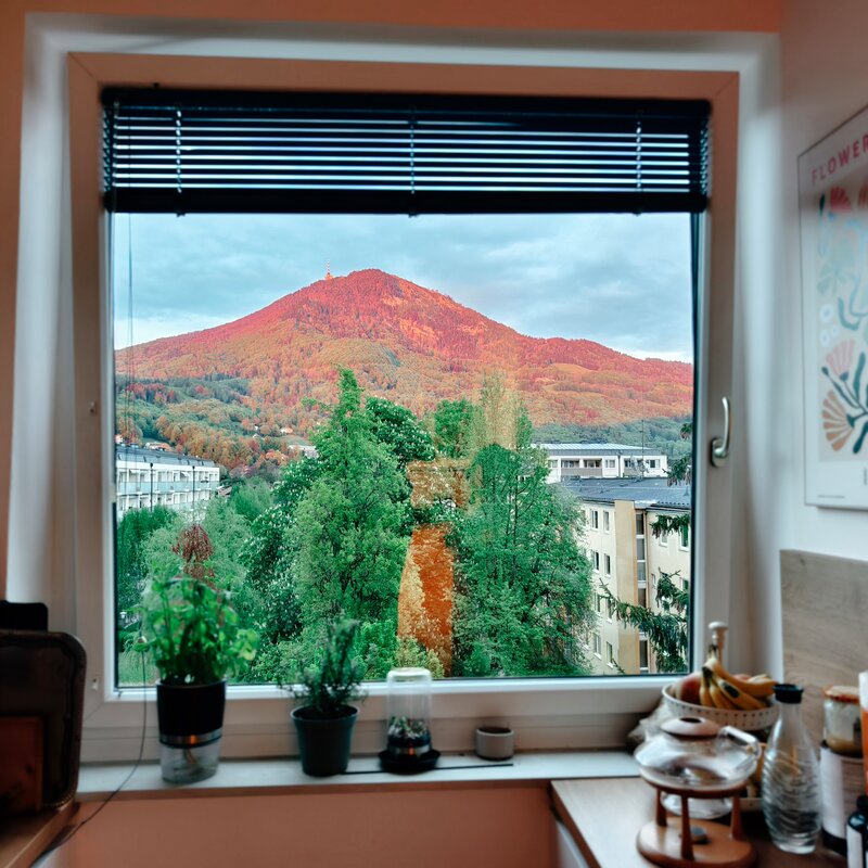 Blick von Küche aus | © Eva Krammer