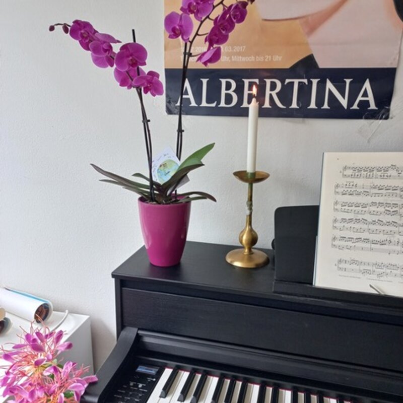 Klavier Yamaha | © Eva Krammer