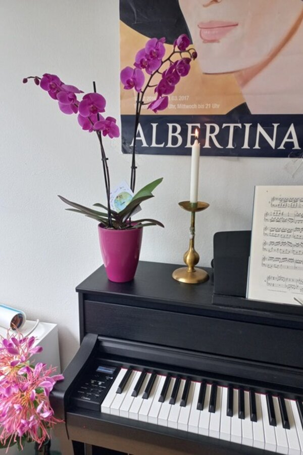 Klavier Yamaha | © Eva Krammer