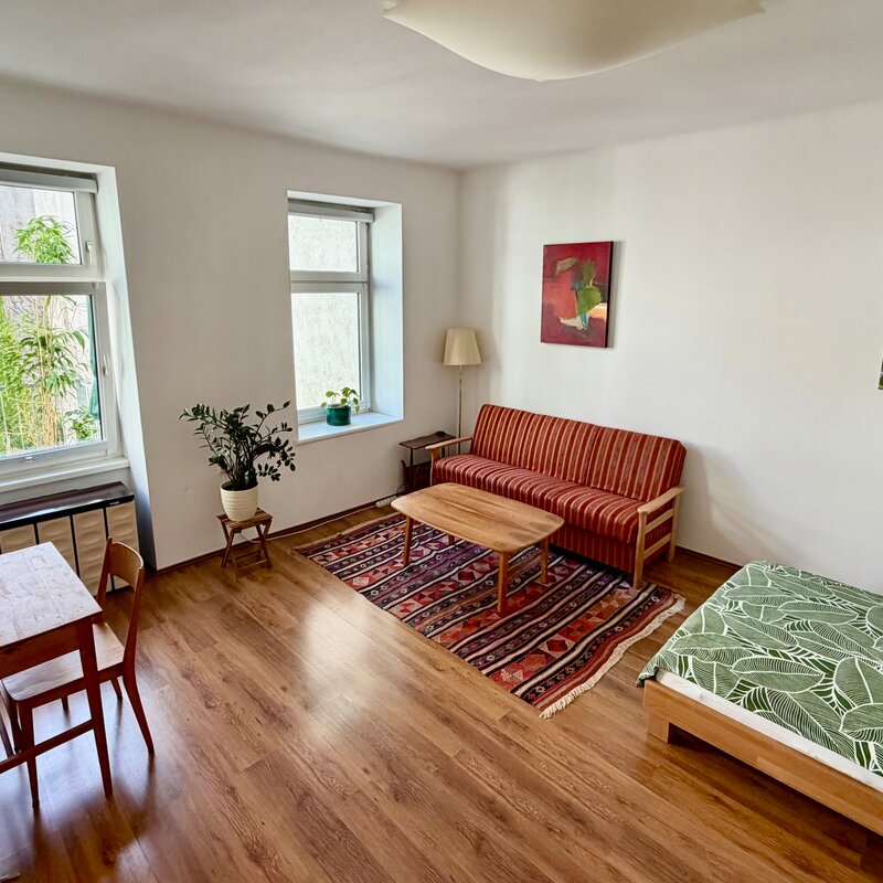 Wohnzimmer/Schlafzimmer