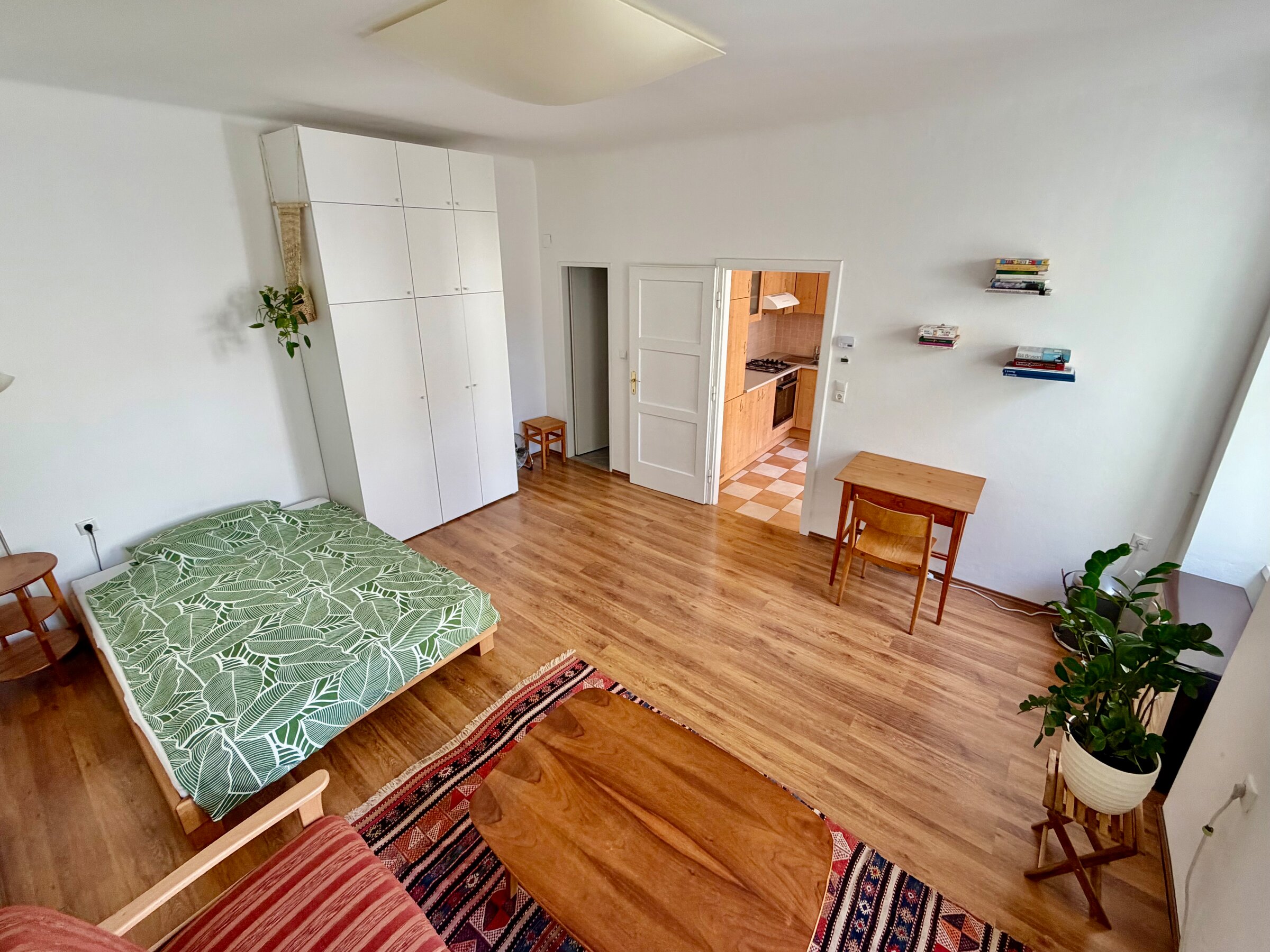 Wohnzimmer/Schlafzimmer