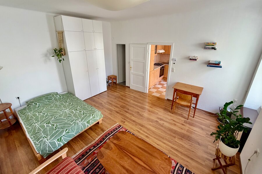 Wohnzimmer/Schlafzimmer