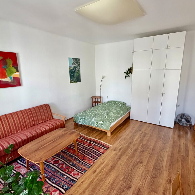 Wohnzimmer/Schlafzimmer