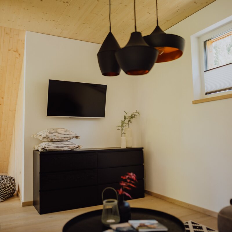 living room - TV