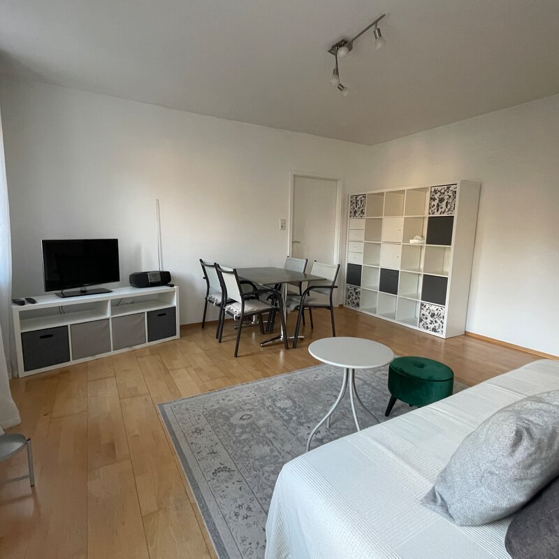 Living room with sofa, dining table, TV