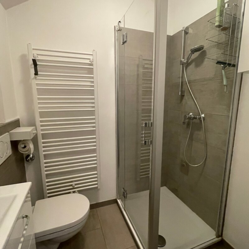 Bathroom with WC and shower