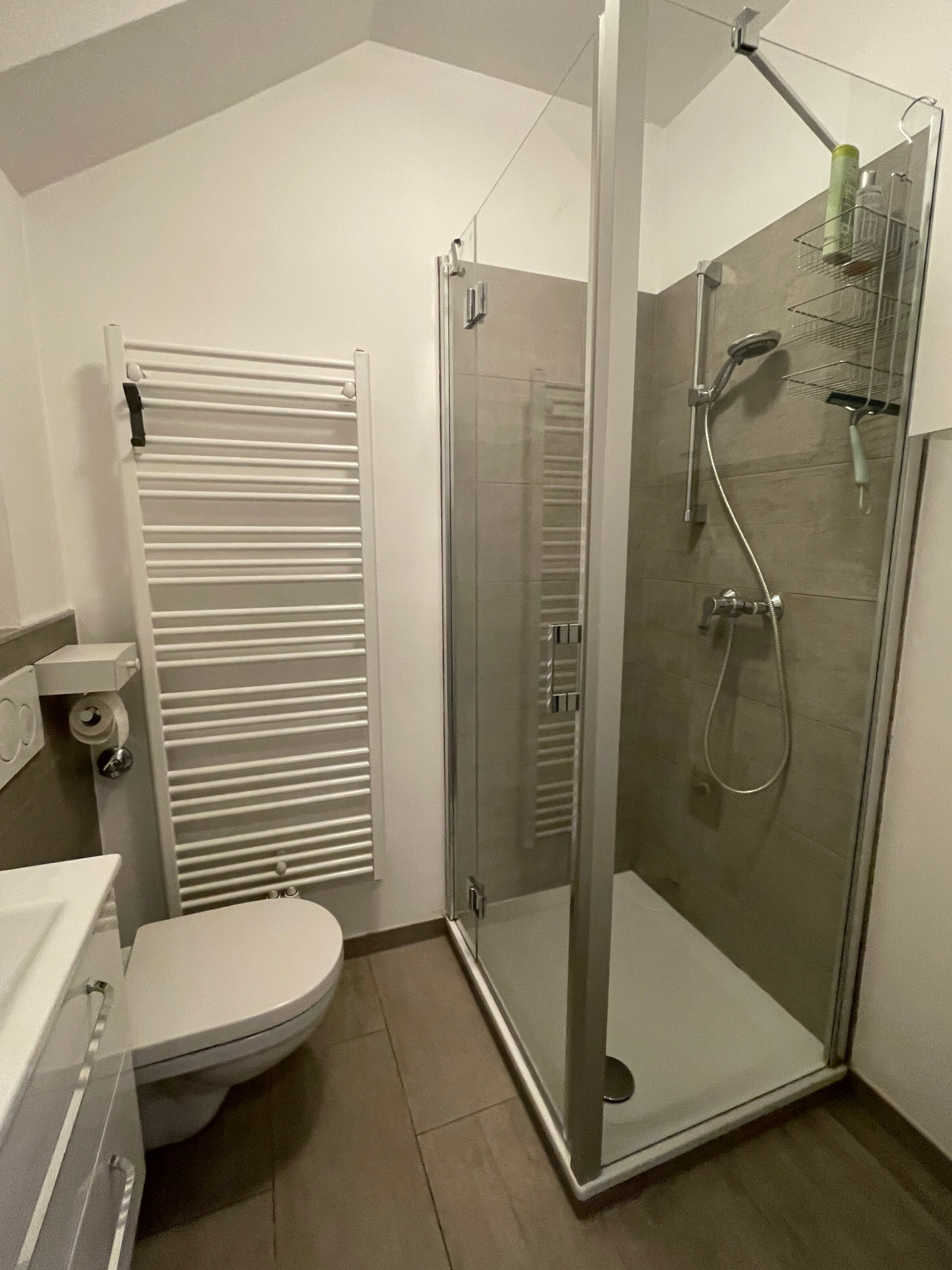 Bathroom with WC and shower
