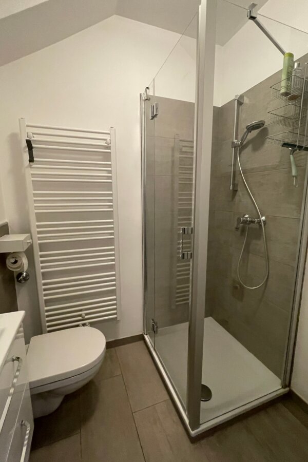 Bathroom with WC and shower
