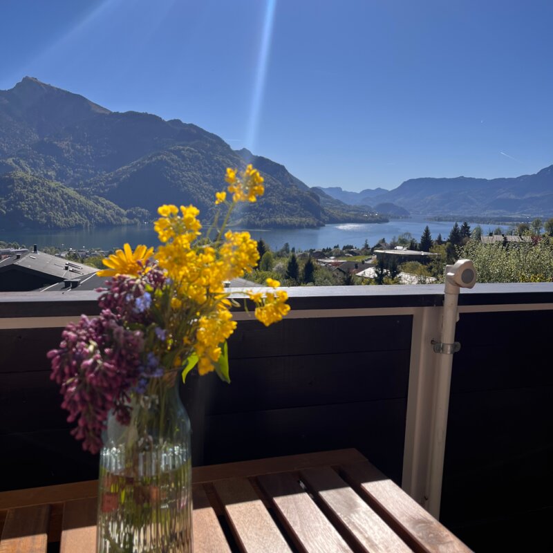 A Place with a View | © Bernhard Strasser